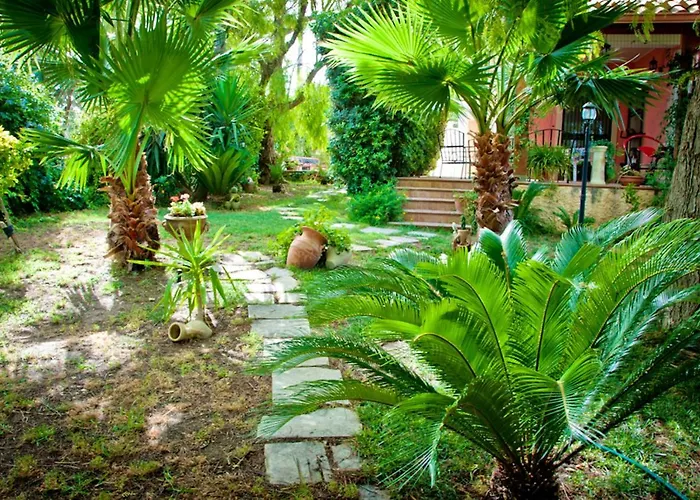 Charming With Shared Pool *